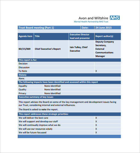 FREE 11+ Sample Executive Report Templates in Google Docs MS Word