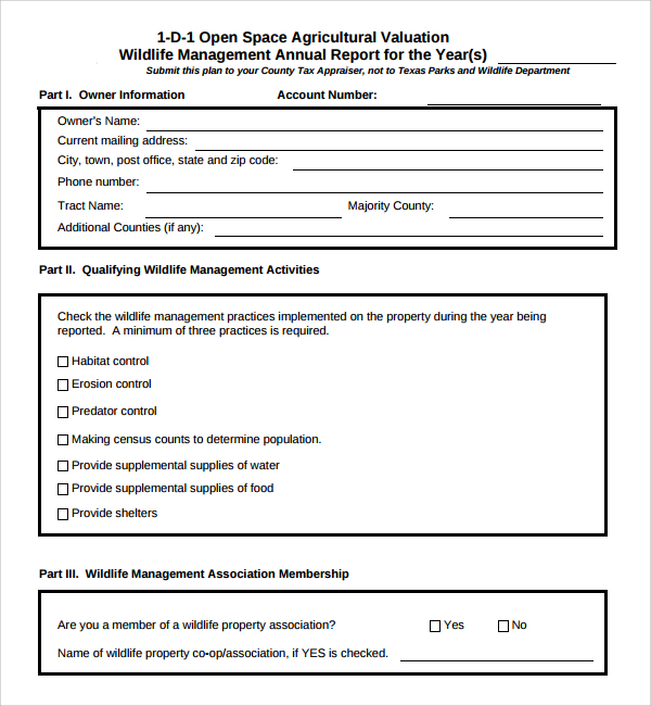 Management Report Template