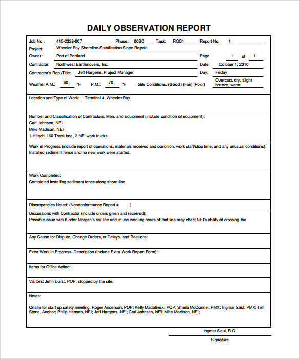 observation report format