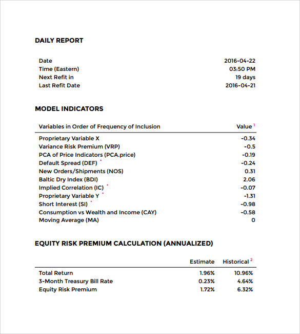 daily report format