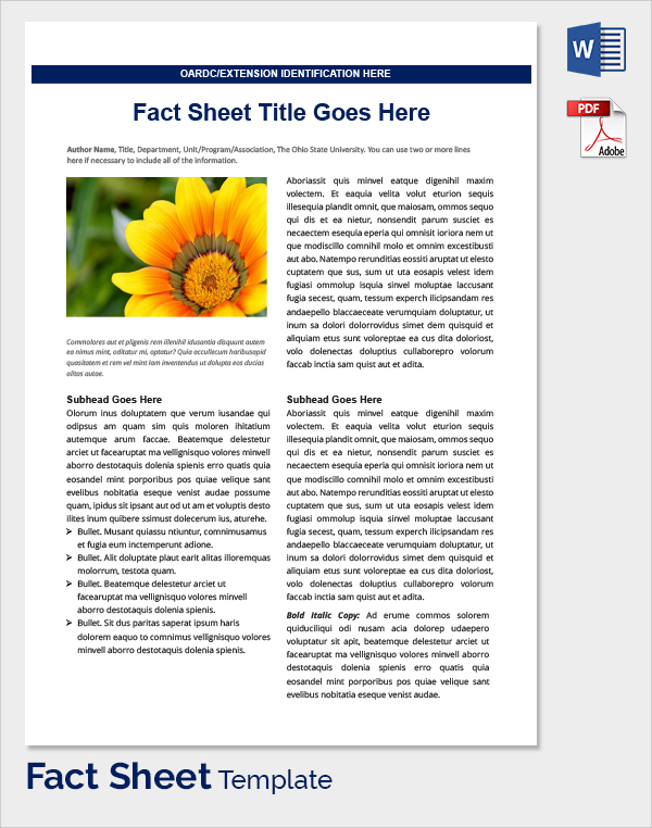 Sample Fact Sheet Template 21+ Free Download Documents In PDF , WORD