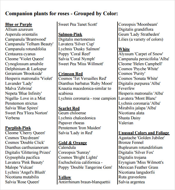 companion planting chart for flowers