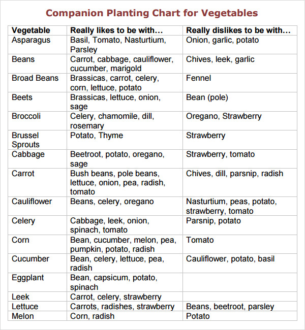 companion planting chart for vegetables