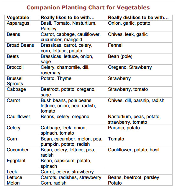 free-7-sample-companion-planting-chart-templates-in-pdf