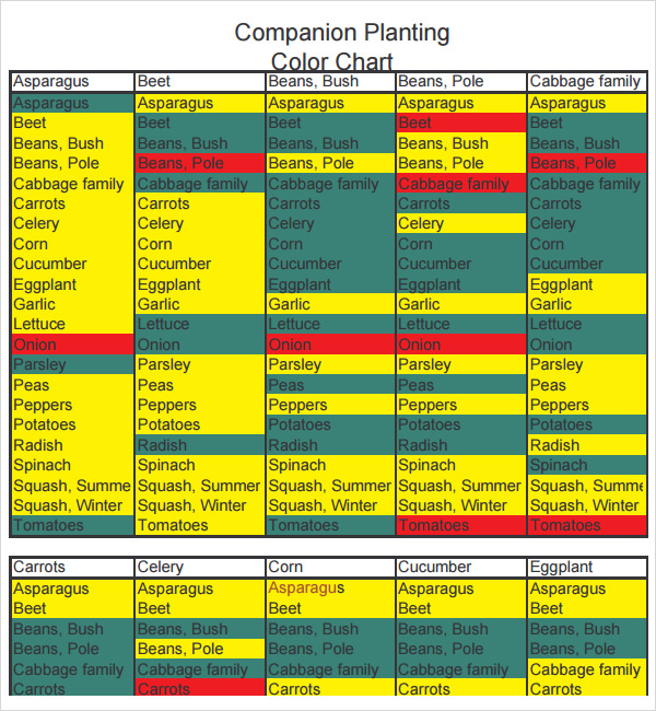 companion planting color chart