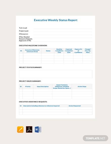 executive report weekly