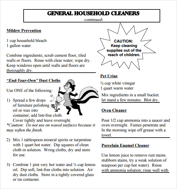 house cleaning tips pdf