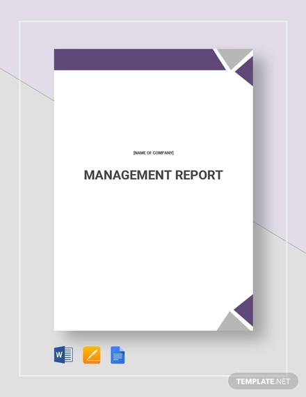 FREE 19  Management Report Templates in PDF MS Word Apple Pages