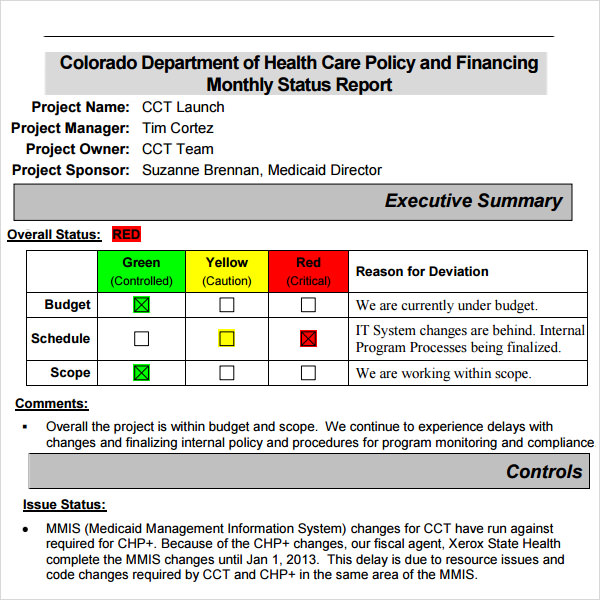 FREE 14+ Sample Useful Project Status Report Templates in Google Docs ...