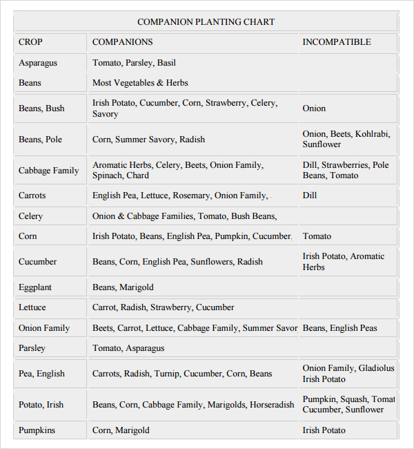 Sample Companion Planting Chart Template