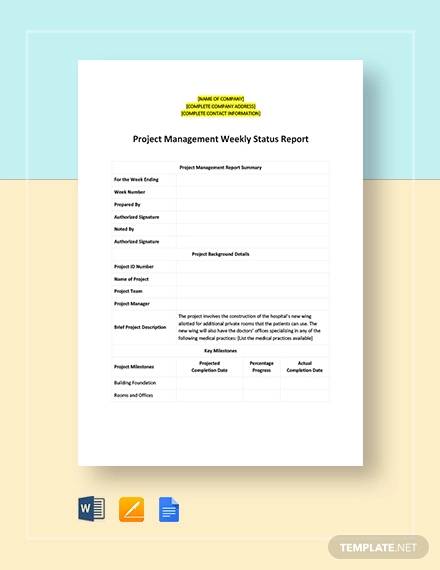 project management report status