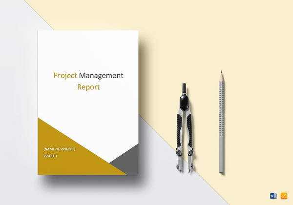 project management report to print
