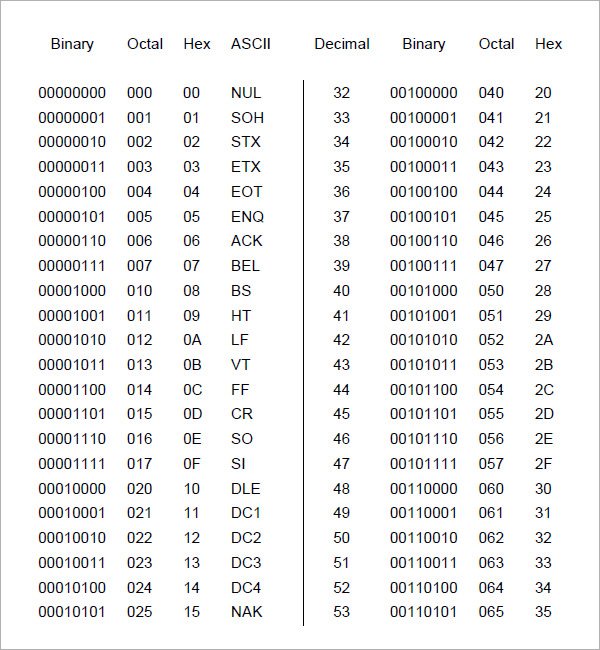 binary code translator