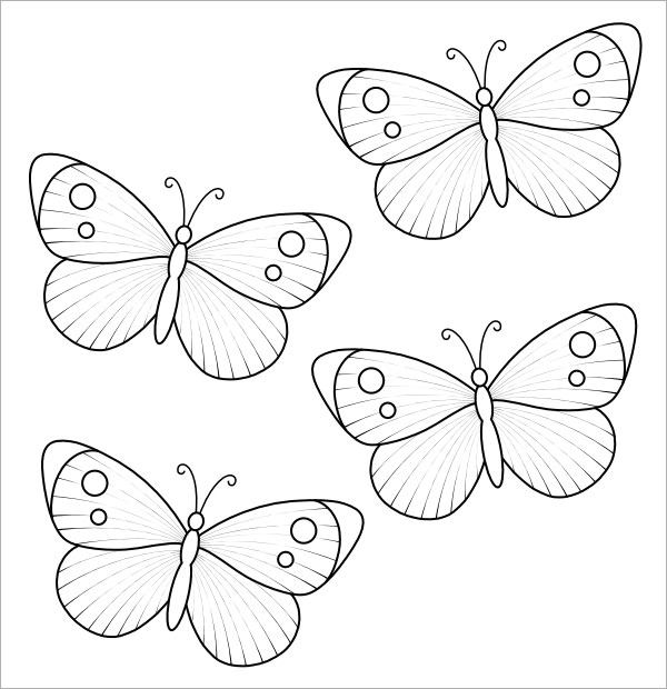 butterfly template simple