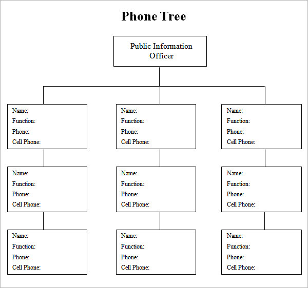 FREE 3 Sample Phone Tree Templates In PDF MS Word