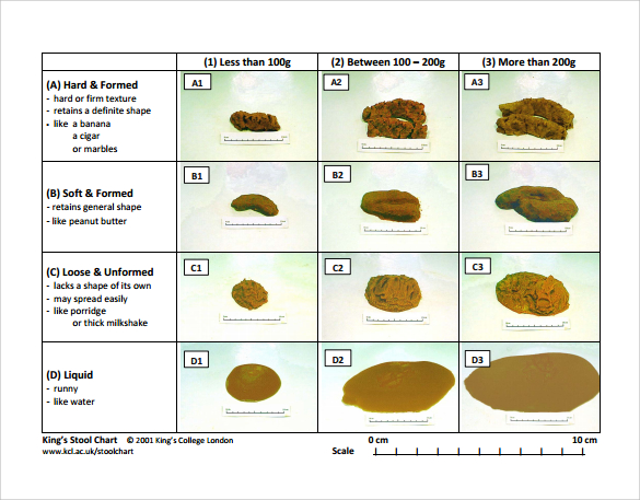 Bowel Movement Color Chart Adults