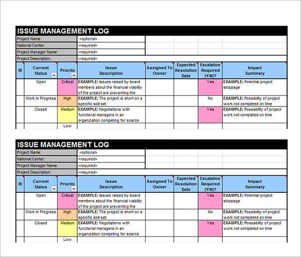 project issue tracking template1