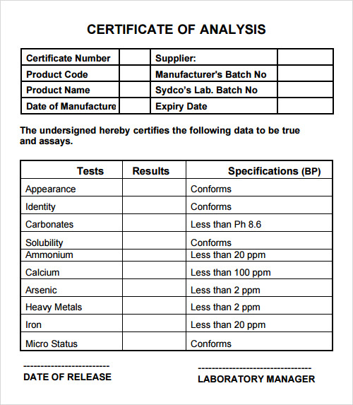FREE 31 Analysis Templates In Google Docs MS Word Pages PDF