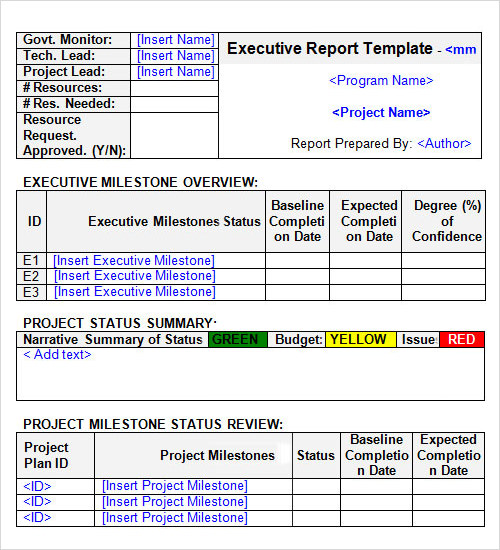 executive report template