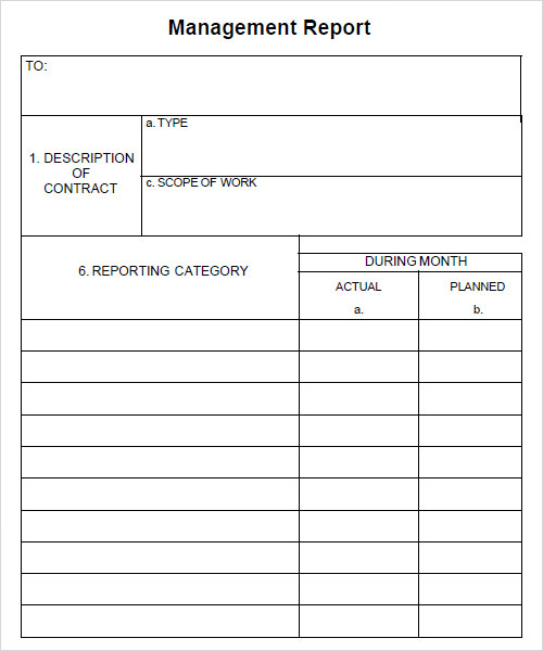 management report template