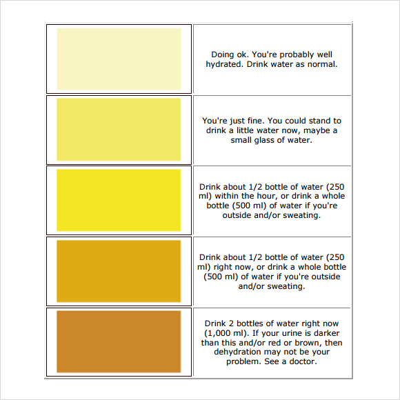 printable urine color chart