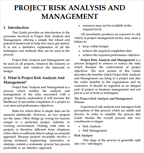 Risk Analysis Format