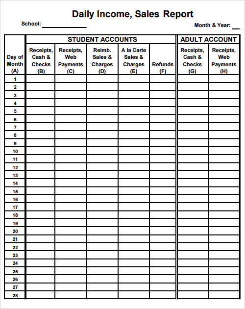 sample daily report