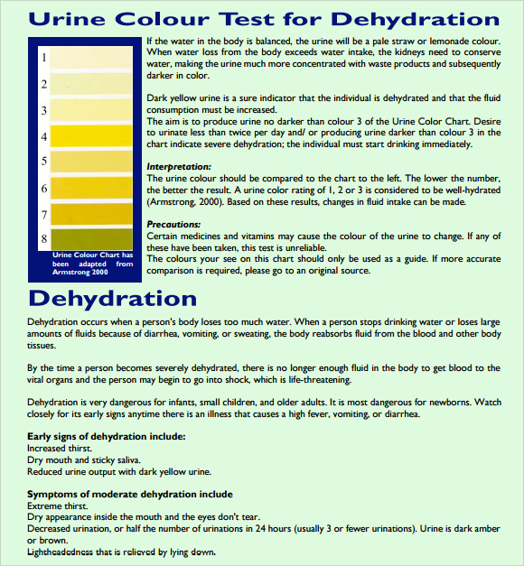 FREE 8+ Sample Urine Color Chart Templates in PDF MS Word