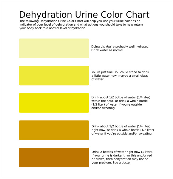 Am I Hydrated Urine Color Chart