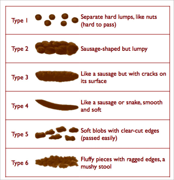 what is the bristol stool chart - 8 sample stool color charts sample ...