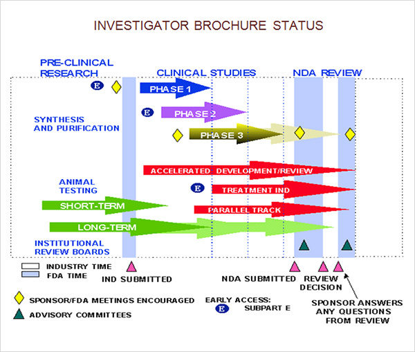 investigator brochure ppt