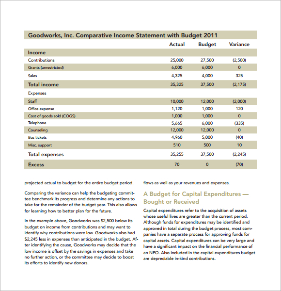 7+ Non Profit Budget Templates PDF, Excel Sample Templates