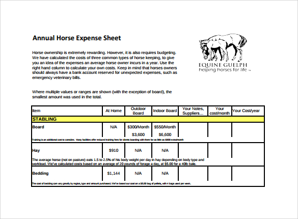 14 Sample Expense Sheet Templates to Download  Sample 