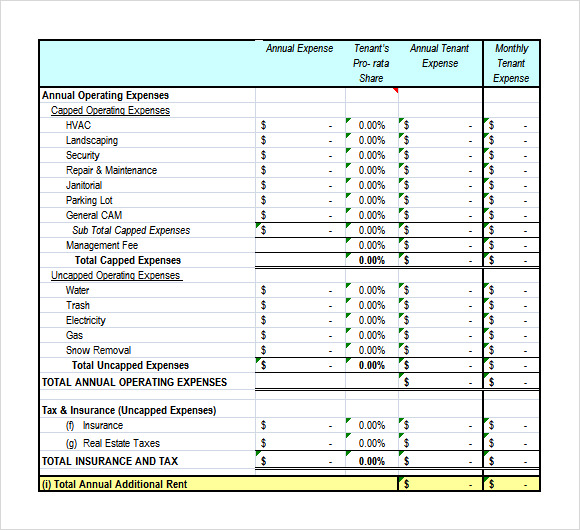 3 year budget plan template