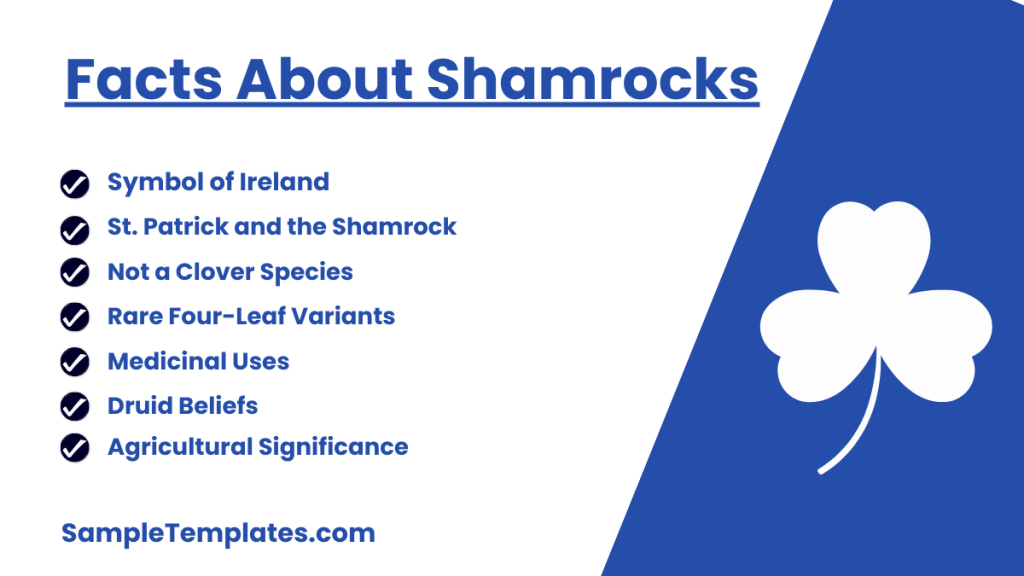 facts about shamrocks 1024x576