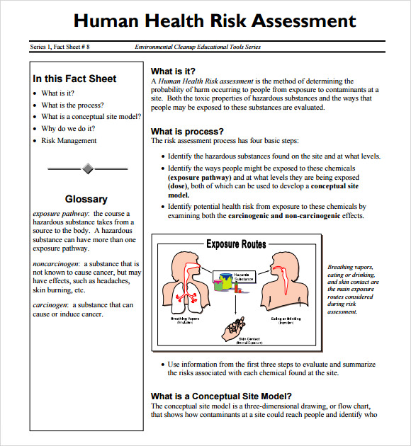 FREE 10+ Sample Health Risk Assessments in PDF | MS Word