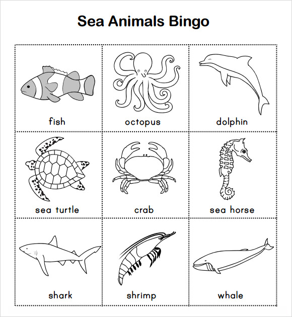 sea animals bingo