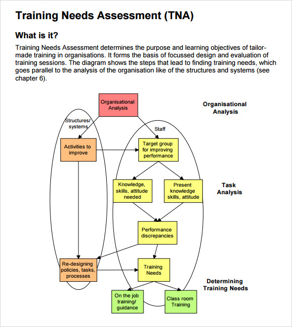 FREE 13 Sample Training Needs Assessment Templates In PDF MS Word