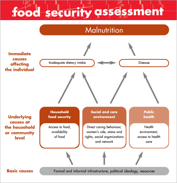 food security assessment1