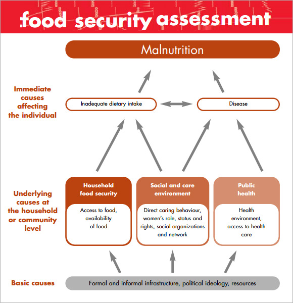 7+ Security Assessment Samples, Examples, Templates 