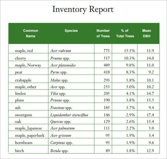 inventory report template pdf