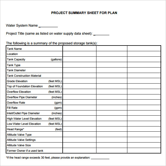 project summary sheet