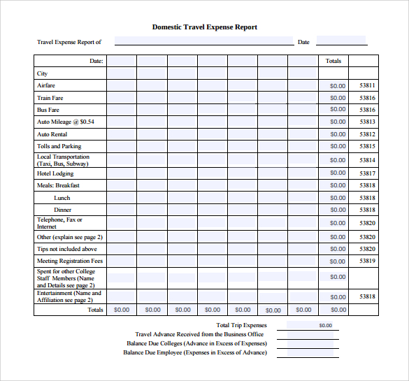 domestic travel expense report