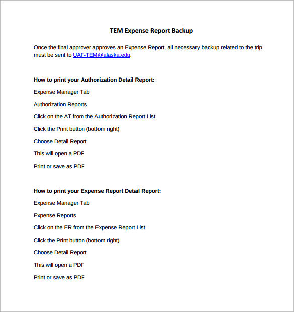 expense report backup template