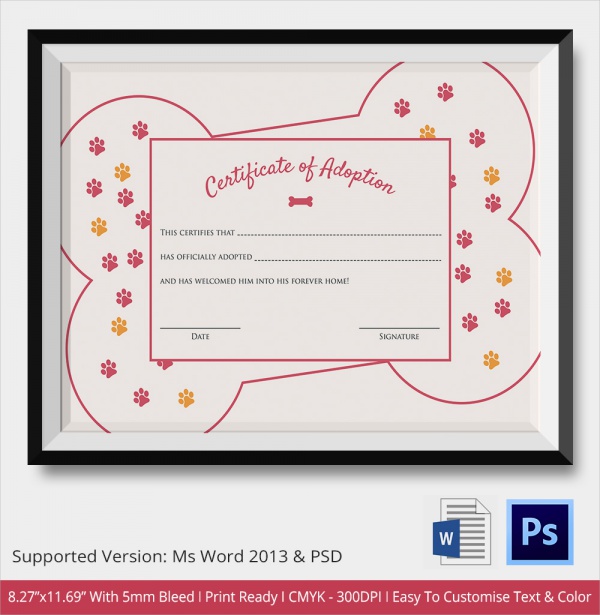 amazing adoption certificate template