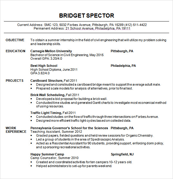 resume format in word for civil engineer experienced