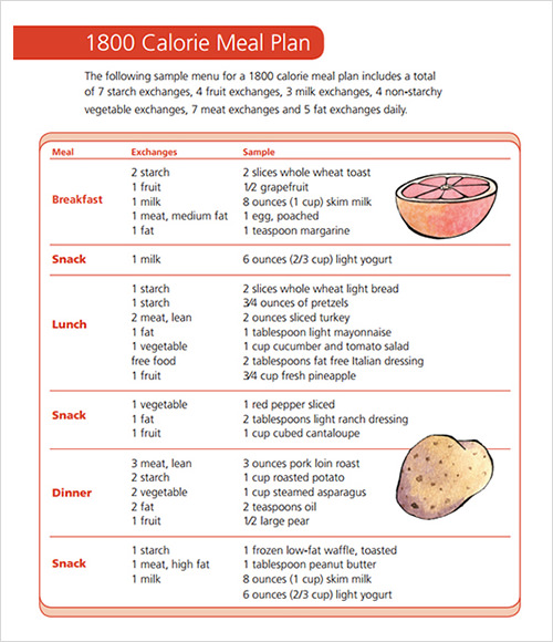 diet menu template sample pdf