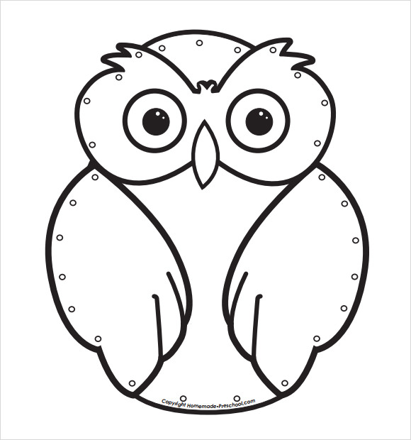 FREE 11  Amazing Sample Owl Templates in PDF PSD