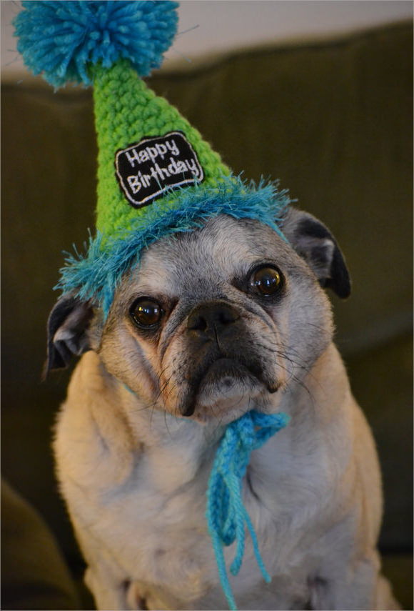 party hat template for dogs