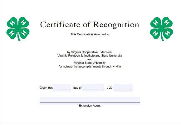 FREE 6 Sample Recognition Certificate Templates In PDF PSD MS Word